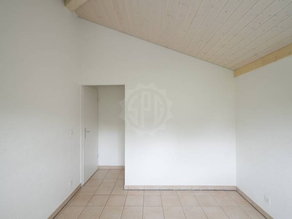 Belle villa - Bellevue 10