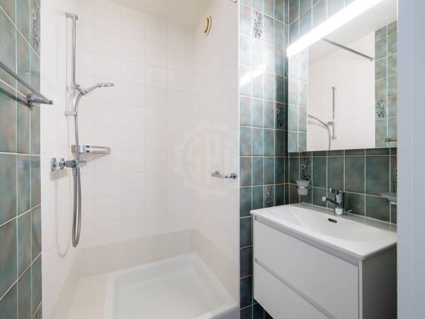 Appartement spacieux - Thônex 11