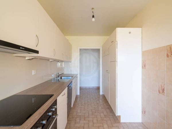 Appartement spacieux - Thônex 4