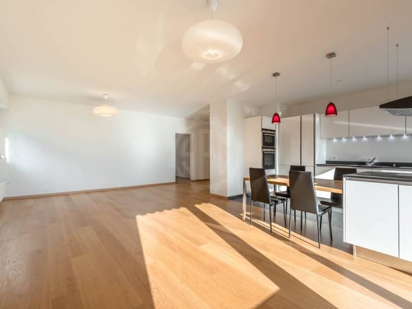 Magnifique appartement - Versoix 4