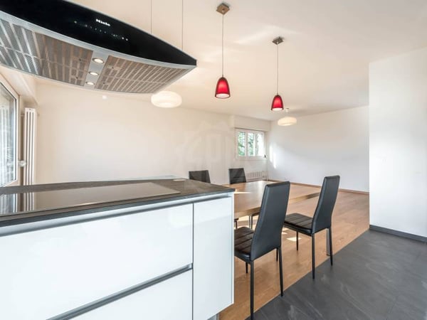 Magnifique appartement - Versoix 3