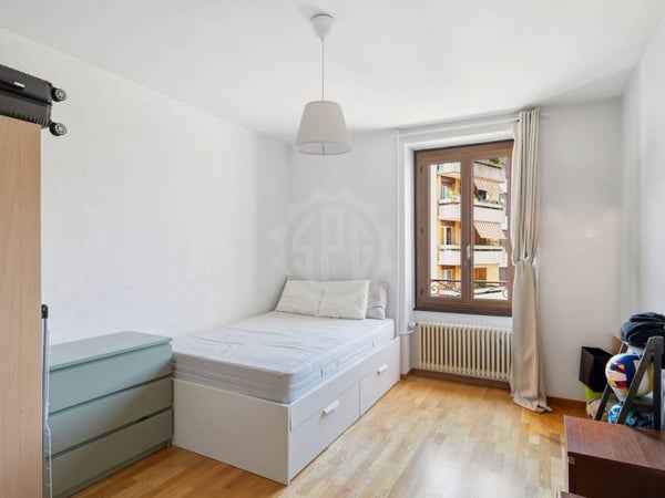Appartement agréable - Chêne-Bourg 10