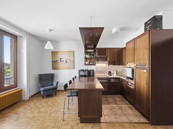 Appartement agréable - Chêne-Bourg 3