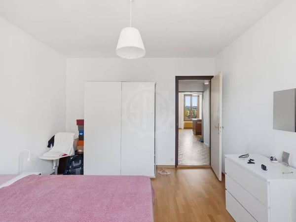 Appartement agréable - Chêne-Bourg 9