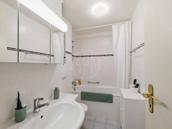 Appartement agréable - Chêne-Bourg 11