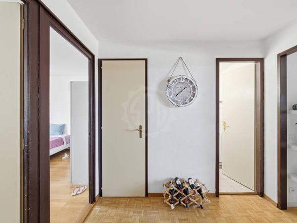 Appartement agréable - Chêne-Bourg 2