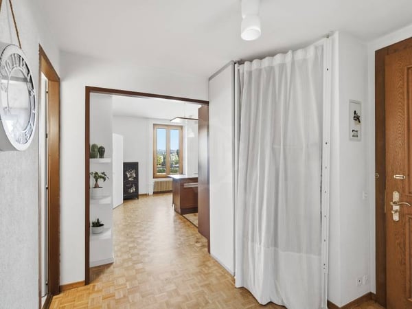 Appartement agréable - Chêne-Bourg 1