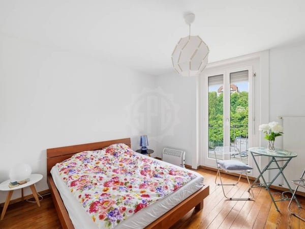Appartement lumineux - Genève 5