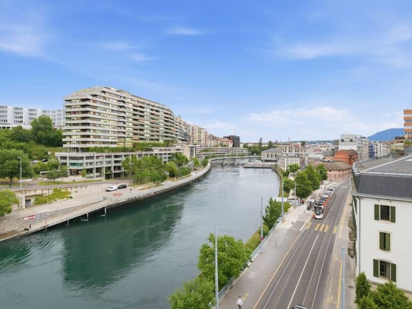 Appartement lumineux - Genève 12
