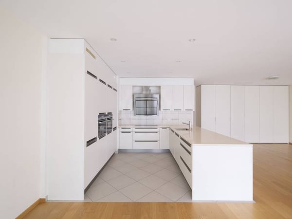 Magnifique appartement - Carouge GE 4