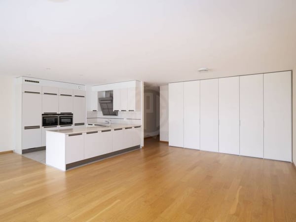 Magnifique appartement - Carouge GE 3