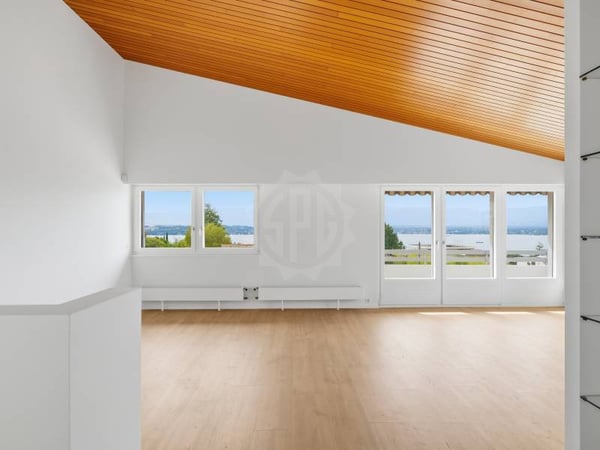Chaleureuse villa - Cologny 8