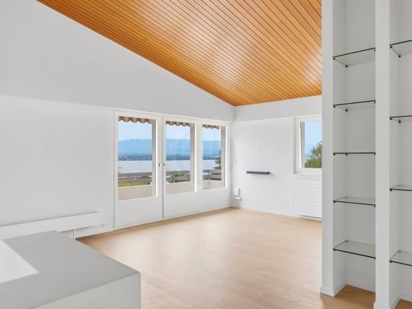 Chaleureuse villa - Cologny 6