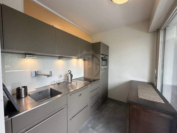 Appartement agréable - Chêne-Bougeries 4