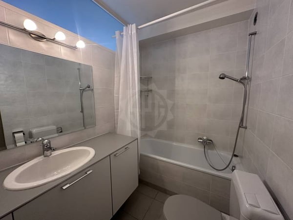 Appartement agréable - Chêne-Bougeries 6