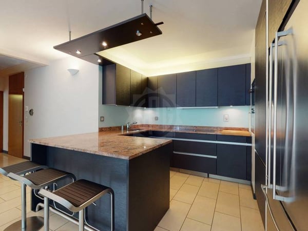 Magnifique appartement - Genève 1