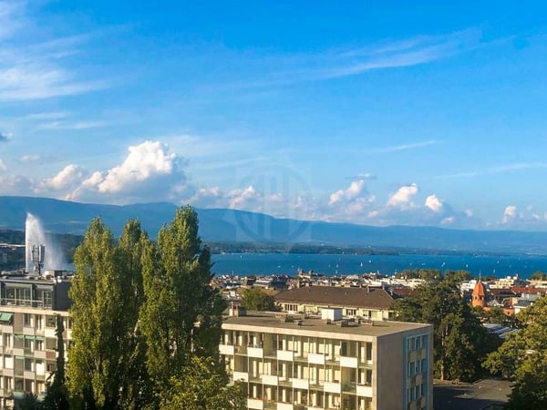 Magnifique appartement - Genève 10