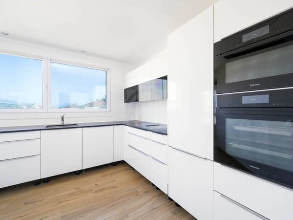 Magnifique appartement - Genève 1