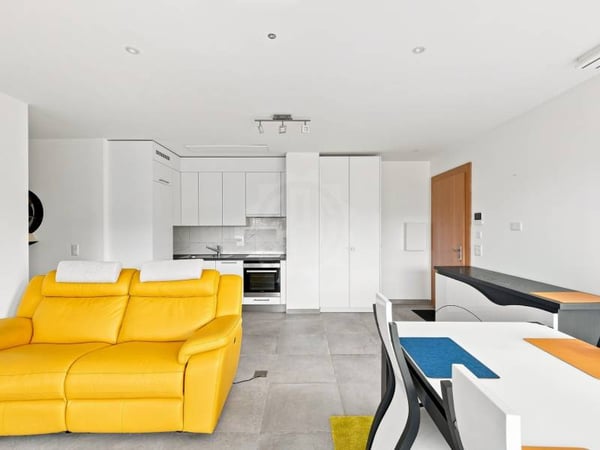 Appartement lumineux - Le Grand-Saconnex 3
