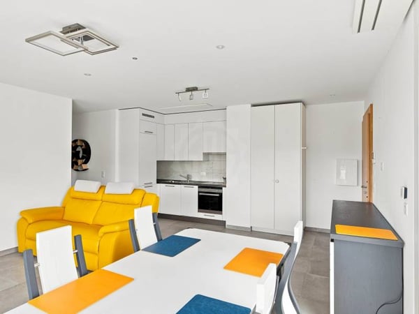 Appartement lumineux - Le Grand-Saconnex 4