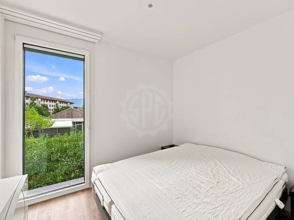 Appartement lumineux - Le Grand-Saconnex 8