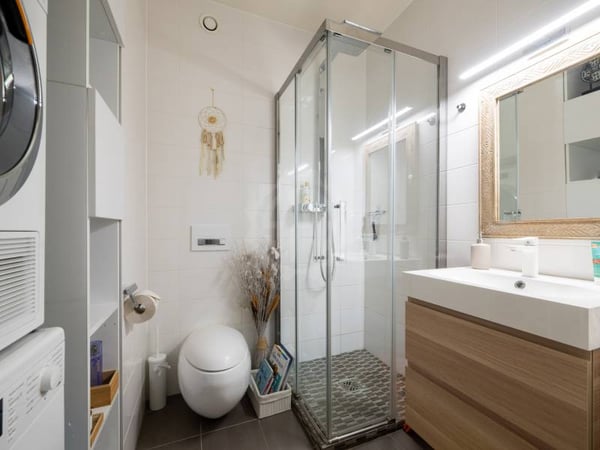 Magnifique appartement - Chêne-Bourg 12