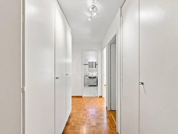 Charmant appartement - Corsier GE 4