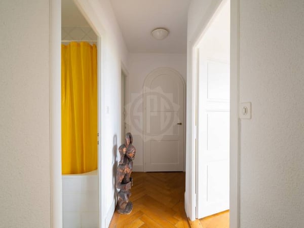Charmant appartement - Vésenaz 7
