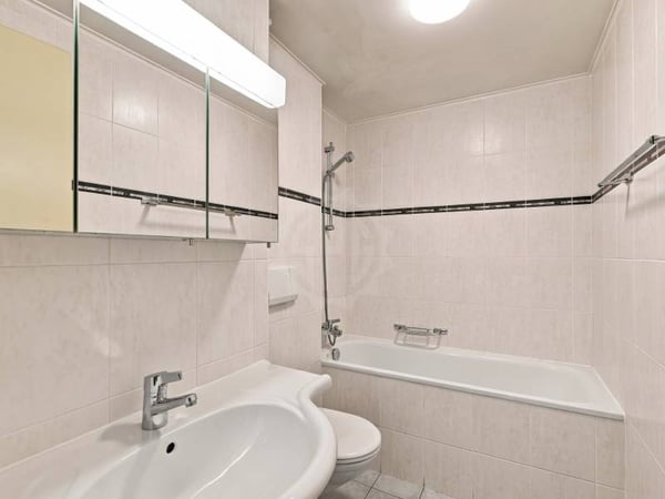 Appartement agréable - Chêne-Bourg 9