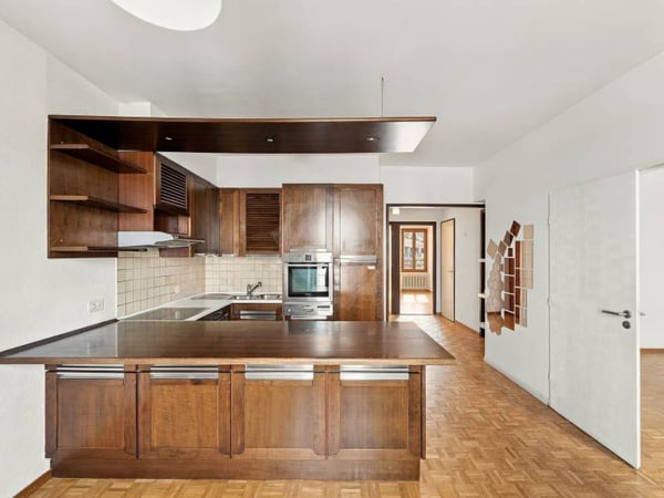 Appartement agréable - Chêne-Bourg 3