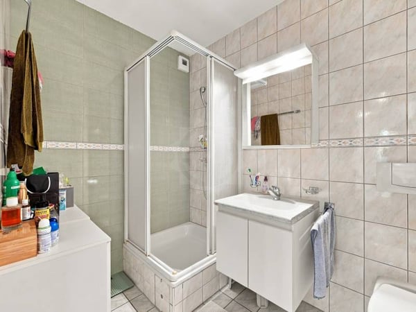 Magnifique appartement - Le Grand-Saconnex 12