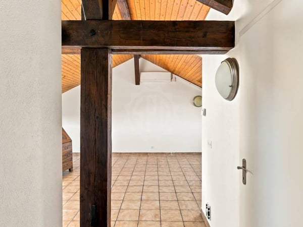 Appartement agréable - Genève 4