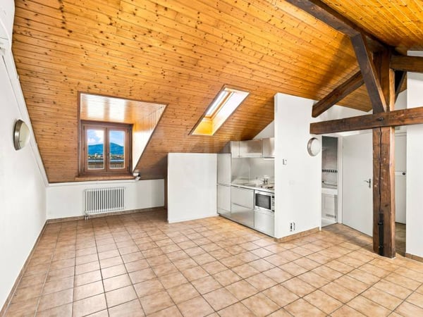 Appartement agréable - Genève 1