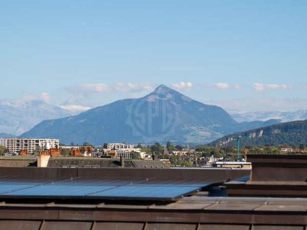 Appartement agréable - Genève 11