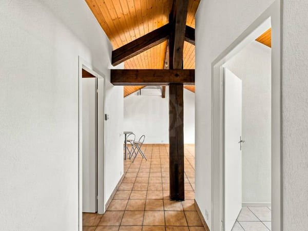 Appartement agréable - Genève 3