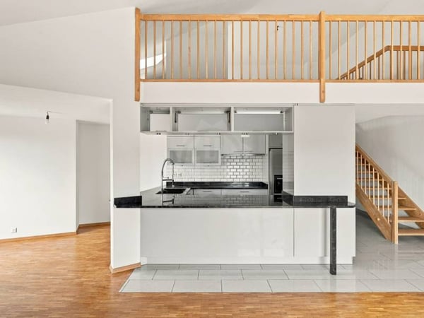 Magnifique appartement - Le Grand-Saconnex 4
