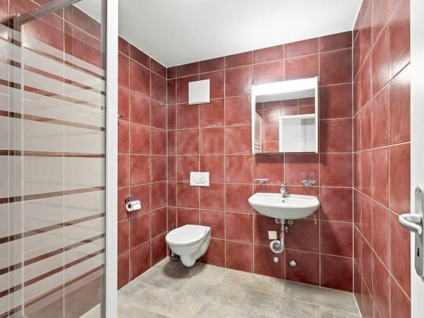 Magnifique appartement - Le Grand-Saconnex 7