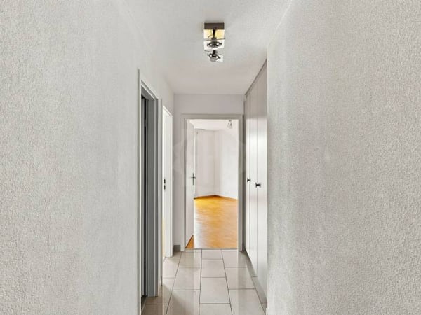 Magnifique appartement - Le Grand-Saconnex 5