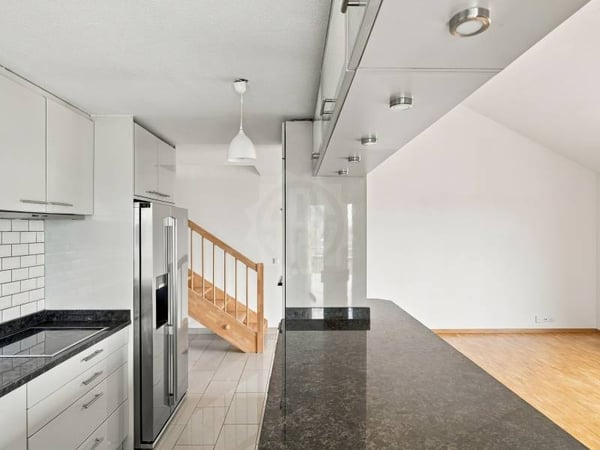 Magnifique appartement - Le Grand-Saconnex 3