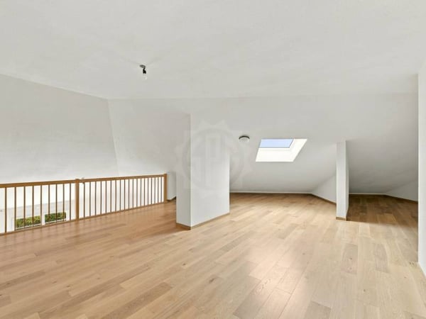 Magnifique appartement - Le Grand-Saconnex 10
