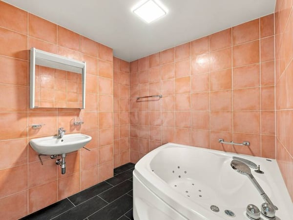 Magnifique appartement - Le Grand-Saconnex 9