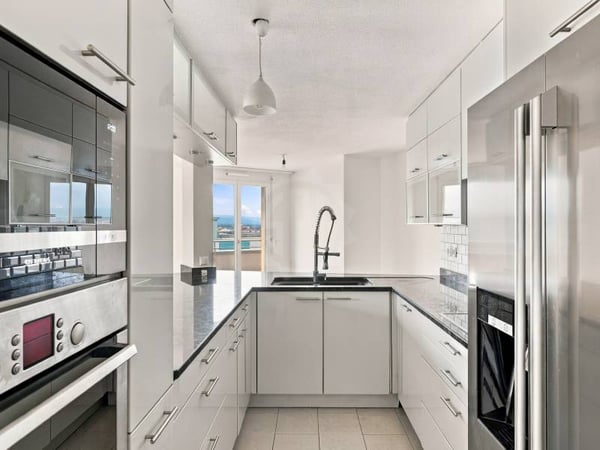 Magnifique appartement - Le Grand-Saconnex 2