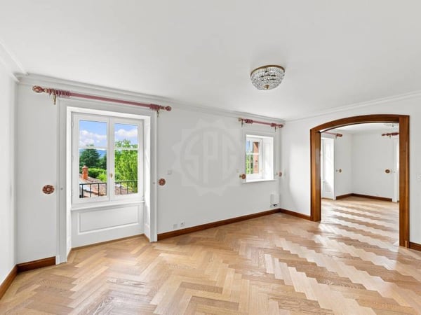 Splendide villa - Jussy 10