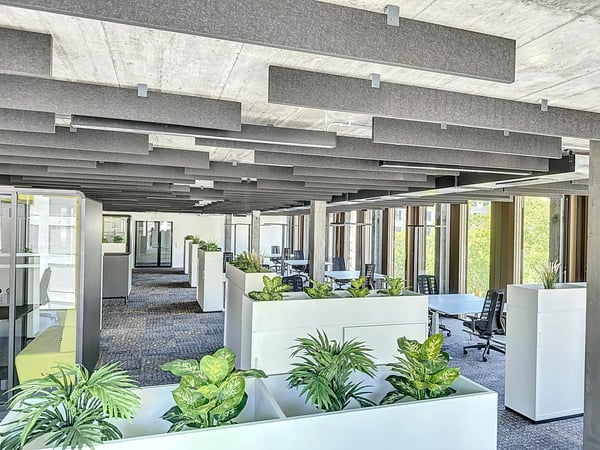 A louer au coeur de Sion, magnifiques bureaux semi-aménagés dès 15 m2 dans un nouveau quartier. 1