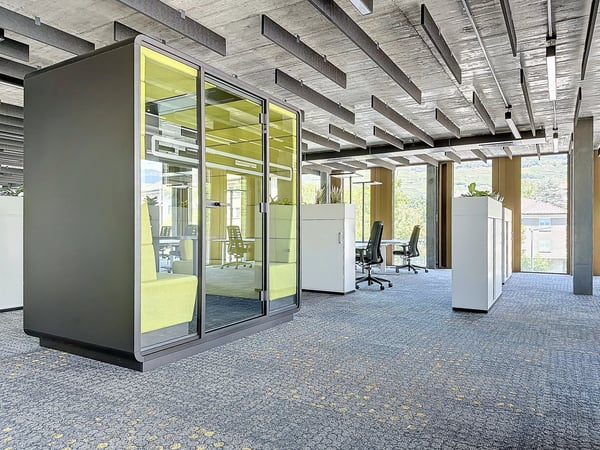 A louer au coeur de Sion, magnifiques bureaux semi-aménagés dès 70 m2 dans un nouveau quartier. 5