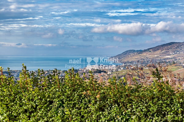 Maison d'architecte de 3 logements avec piscine extérieure à vendre à Chernex / Montreux 2