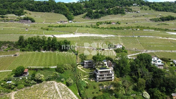 Appartement neuf en duplex de 7.5 pièces avec une vue exceptionnelle sur le lac 2