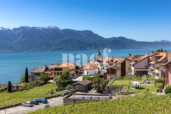 Maison villageoise de charme avec appartement de 3.5 pièces et une place de parc à vendre à Rivaz 3