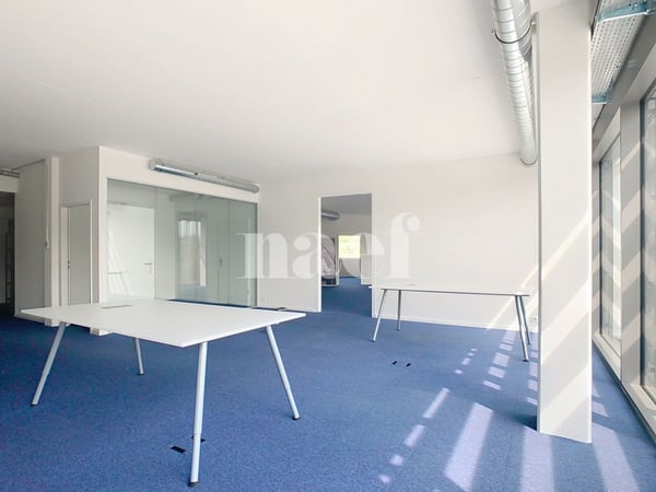 Bureaux modulables dans immeuble récent 8