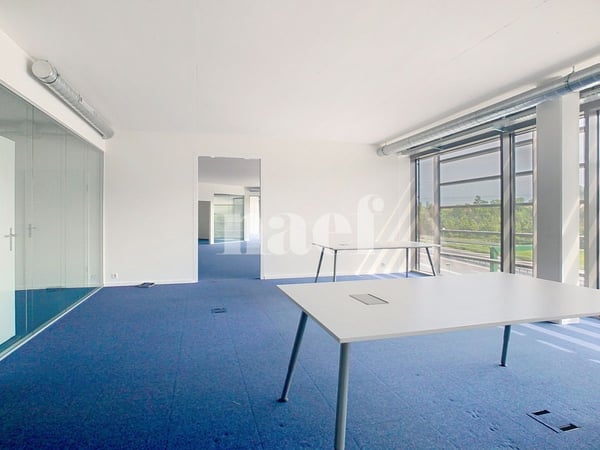 Bureaux modulables dans immeuble récent 7